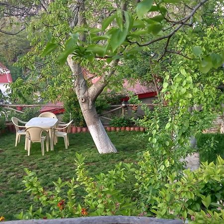 Roleo Guest House Lini 외부 사진