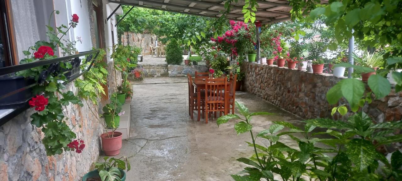 Roleo Guest House Lini 외부 사진