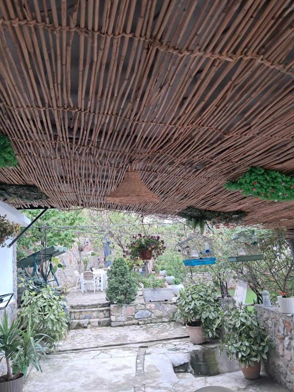 Roleo Guest House Lini 외부 사진
